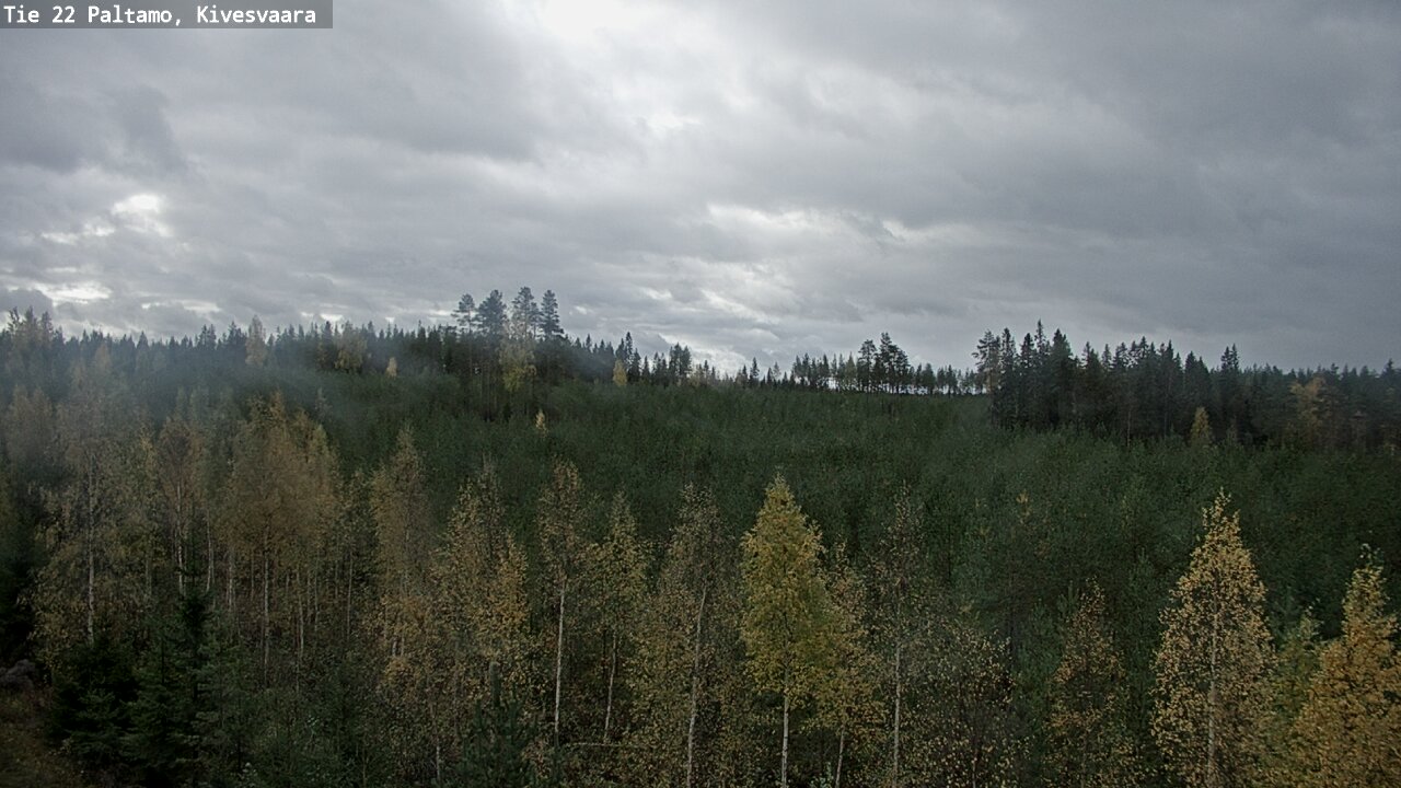 Weather Camera Image Road 22 Paltamo, Kivesvaara, Paltamo, Kainuu