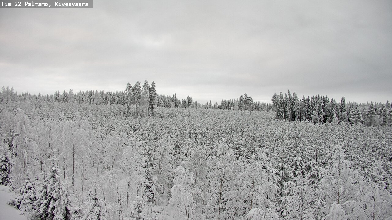 Kelikamerat Kuva Tie 22 Paltamo, Kivesvaara, Paltamo, Kainuu