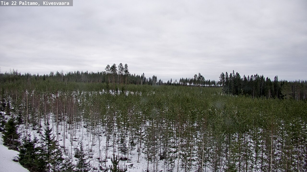 Kelikamerat Kuva Tie 22 Paltamo, Kivesvaara, Paltamo, Kainuu