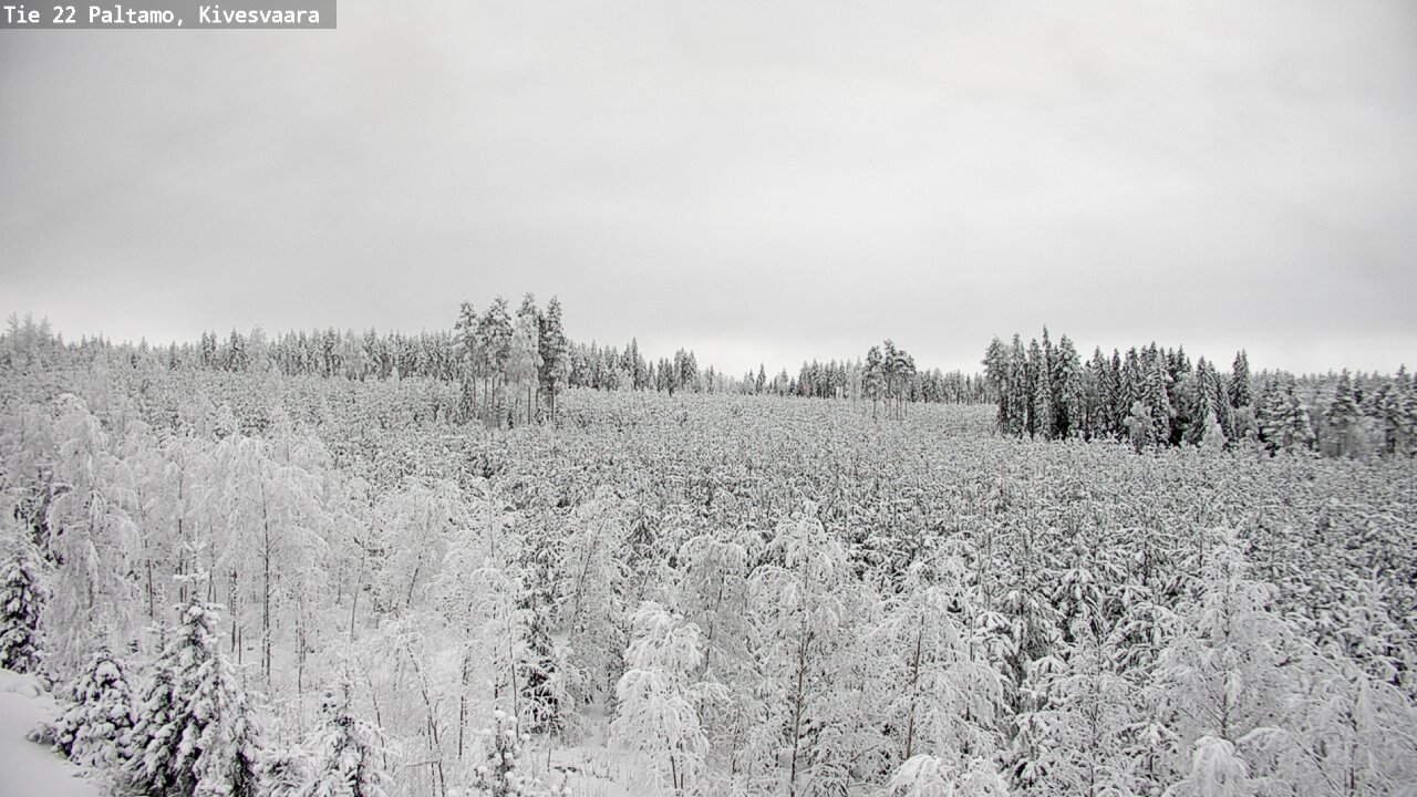 Weather Camera Image Road 22 Paltamo, Kivesvaara, Paltamo, Kainuu