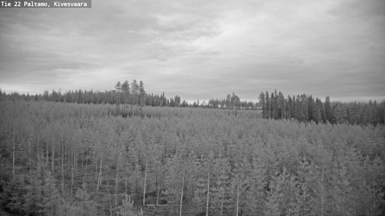 Weather Camera Image Road 22 Paltamo, Kivesvaara, Paltamo, Kainuu