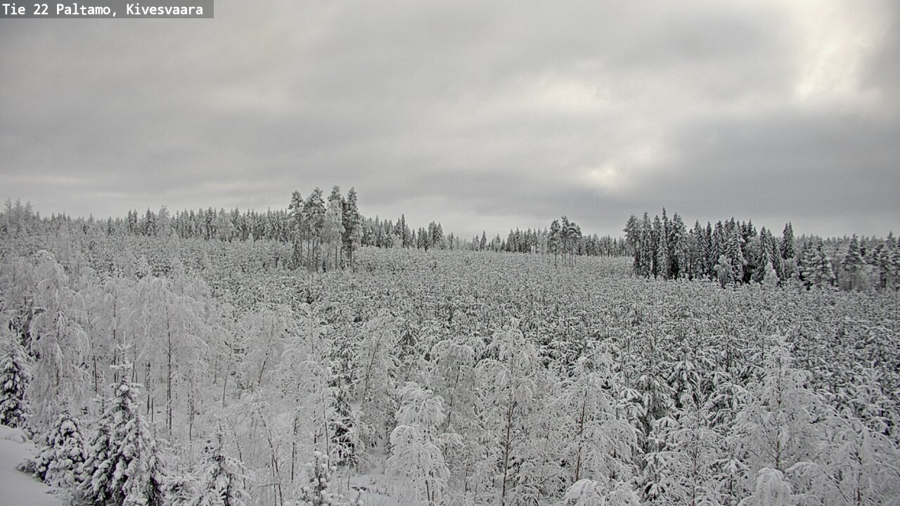 Weather Camera Image Road 22 Paltamo, Kivesvaara, Paltamo, Kainuu