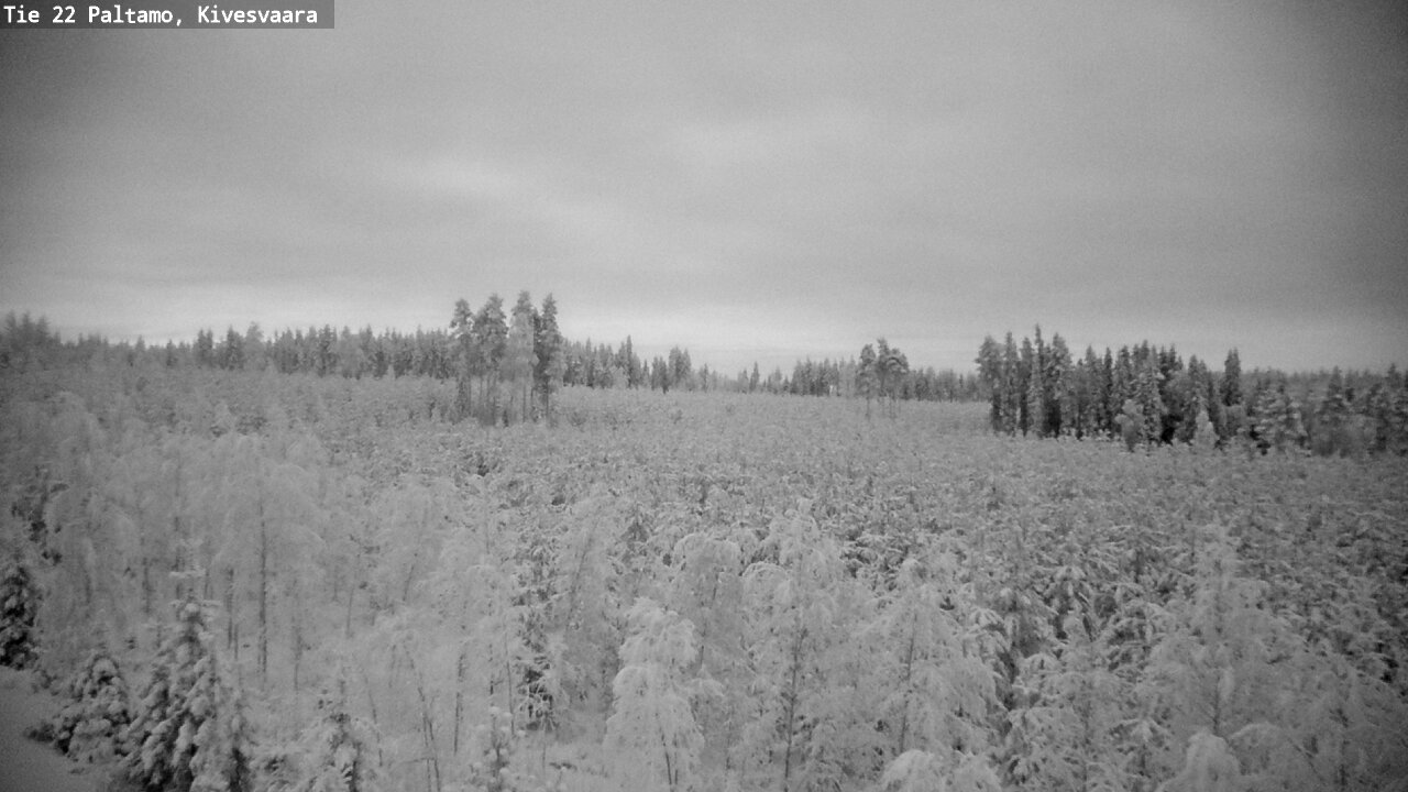 Kelikamerat Kuva Tie 22 Paltamo, Kivesvaara, Paltamo, Kainuu