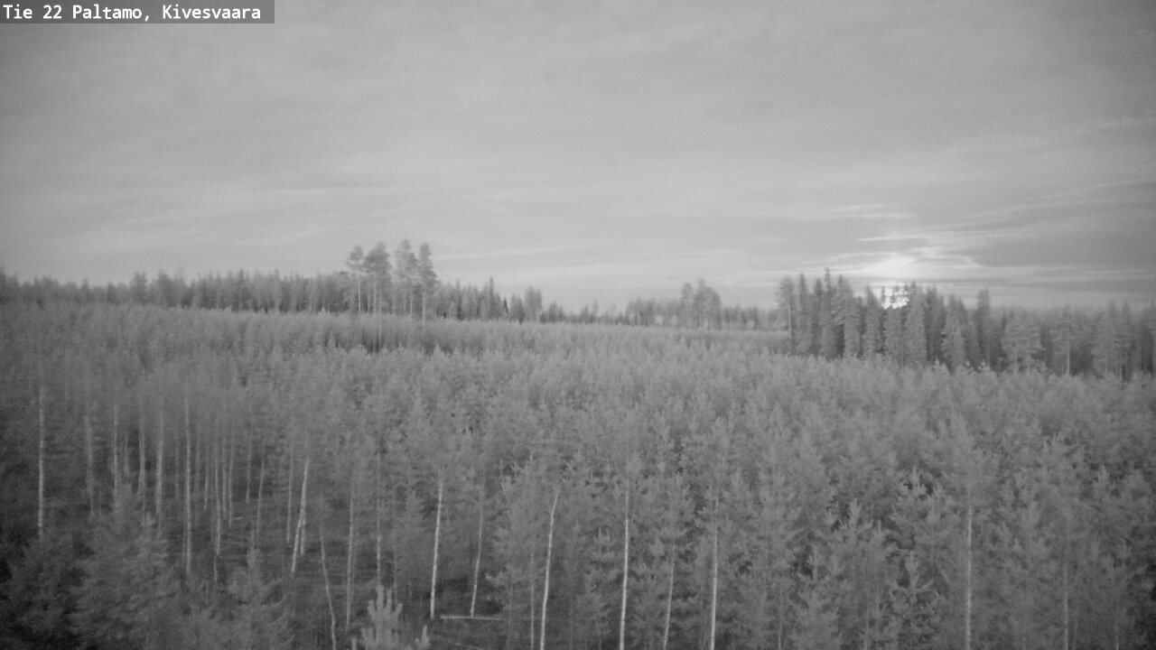 Weather Camera Image Road 22 Paltamo, Kivesvaara, Paltamo, Kainuu