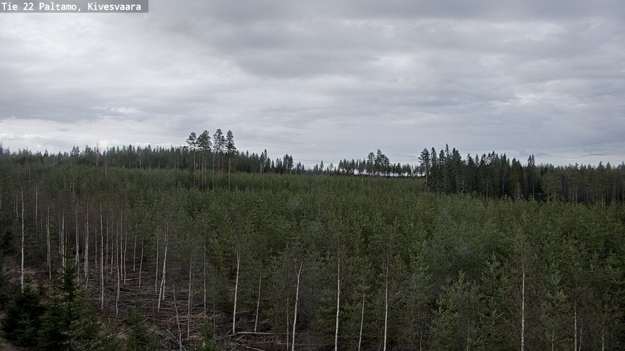 Weather Camera Image Väg 22 Paltamo, Kivesvaara, Paltamo, Kainuu