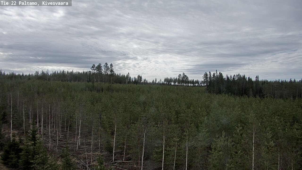 Weather Camera Image Väg 22 Paltamo, Kivesvaara, Paltamo, Kainuu