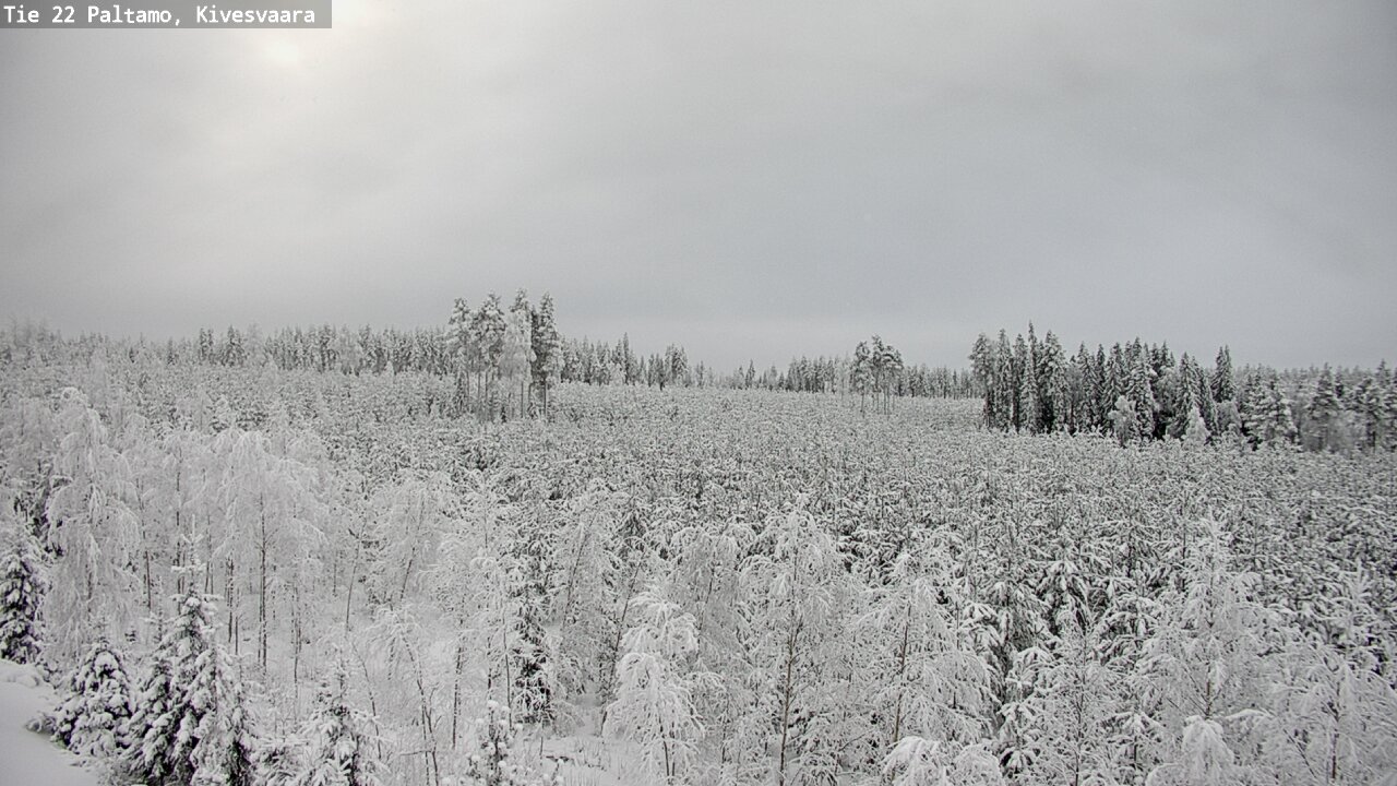 Kelikamerat Kuva Tie 22 Paltamo, Kivesvaara, Paltamo, Kainuu