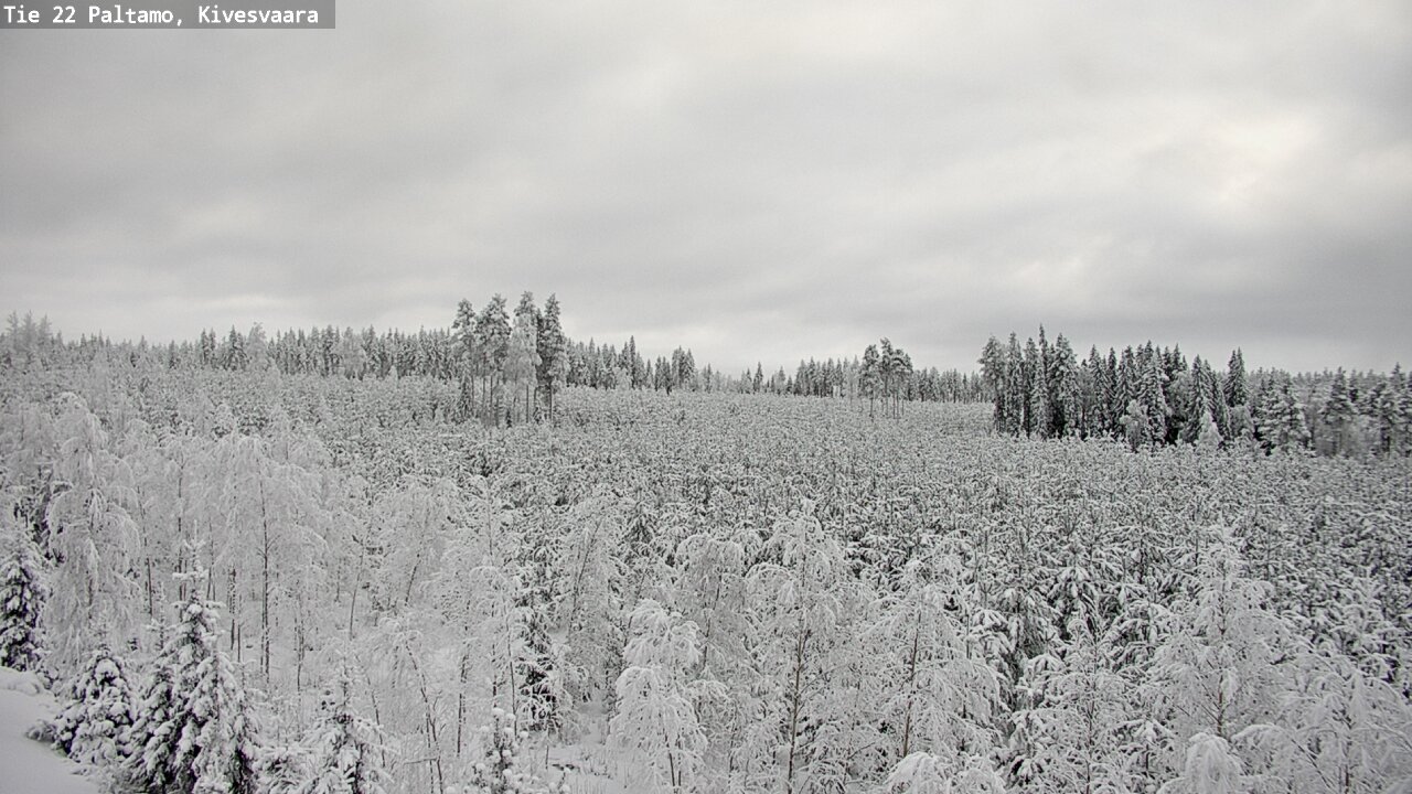 Weather Camera Image Road 22 Paltamo, Kivesvaara, Paltamo, Kainuu