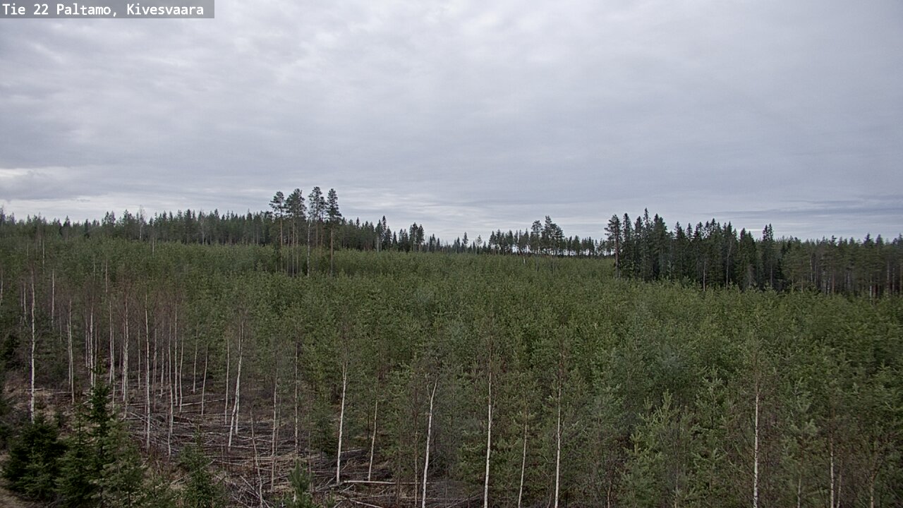 Weather Camera Image Väg 22 Paltamo, Kivesvaara, Paltamo, Kainuu