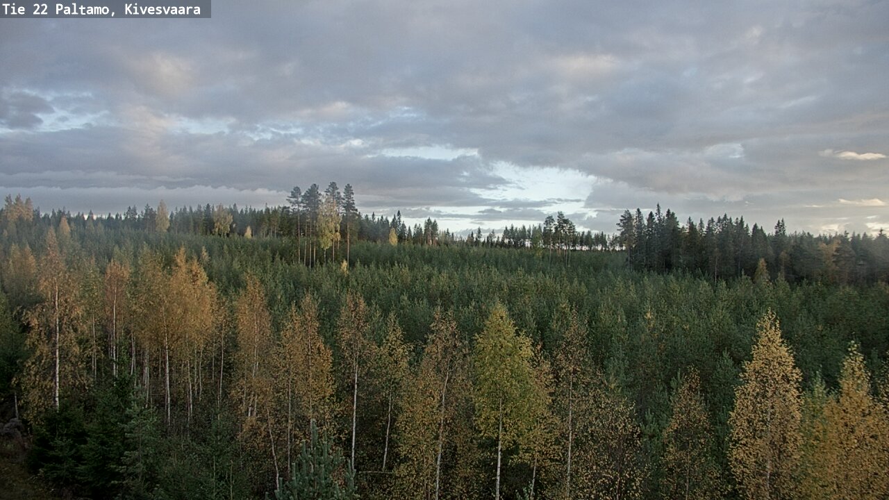 Kelikamerat Kuva Tie 22 Paltamo, Kivesvaara, Paltamo, Kainuu
