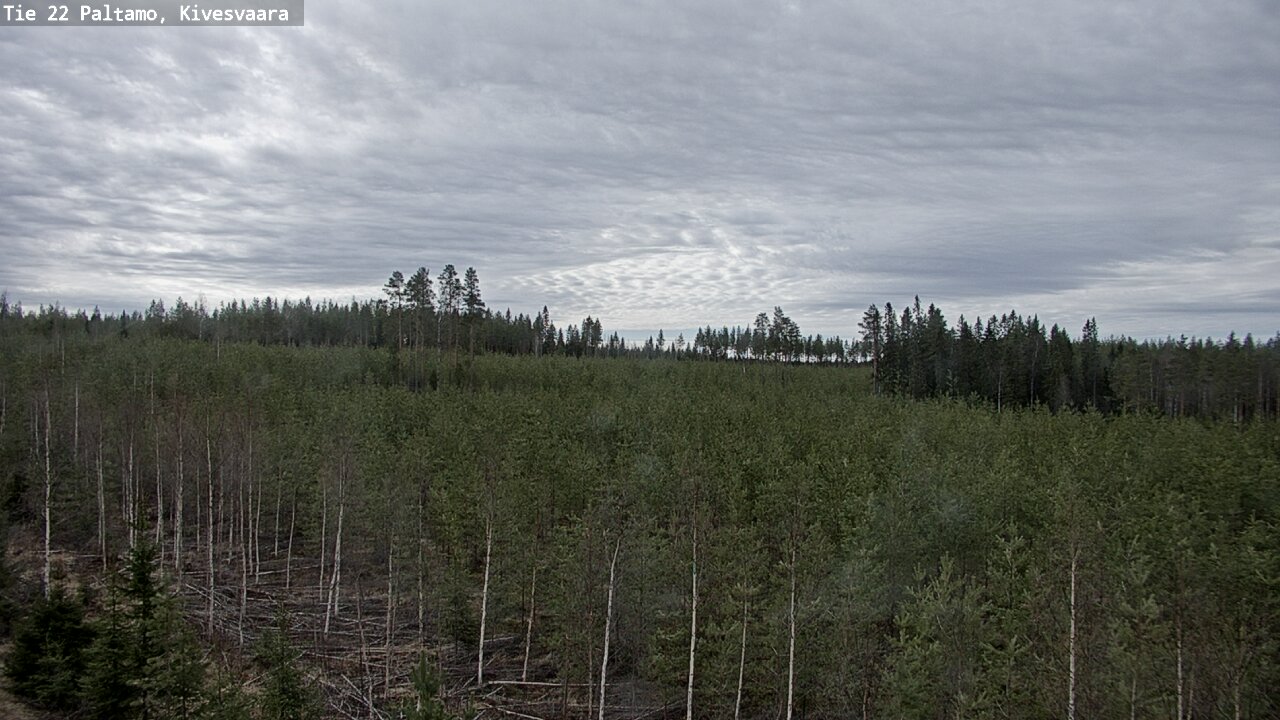 Weather Camera Image Väg 22 Paltamo, Kivesvaara, Paltamo, Kainuu