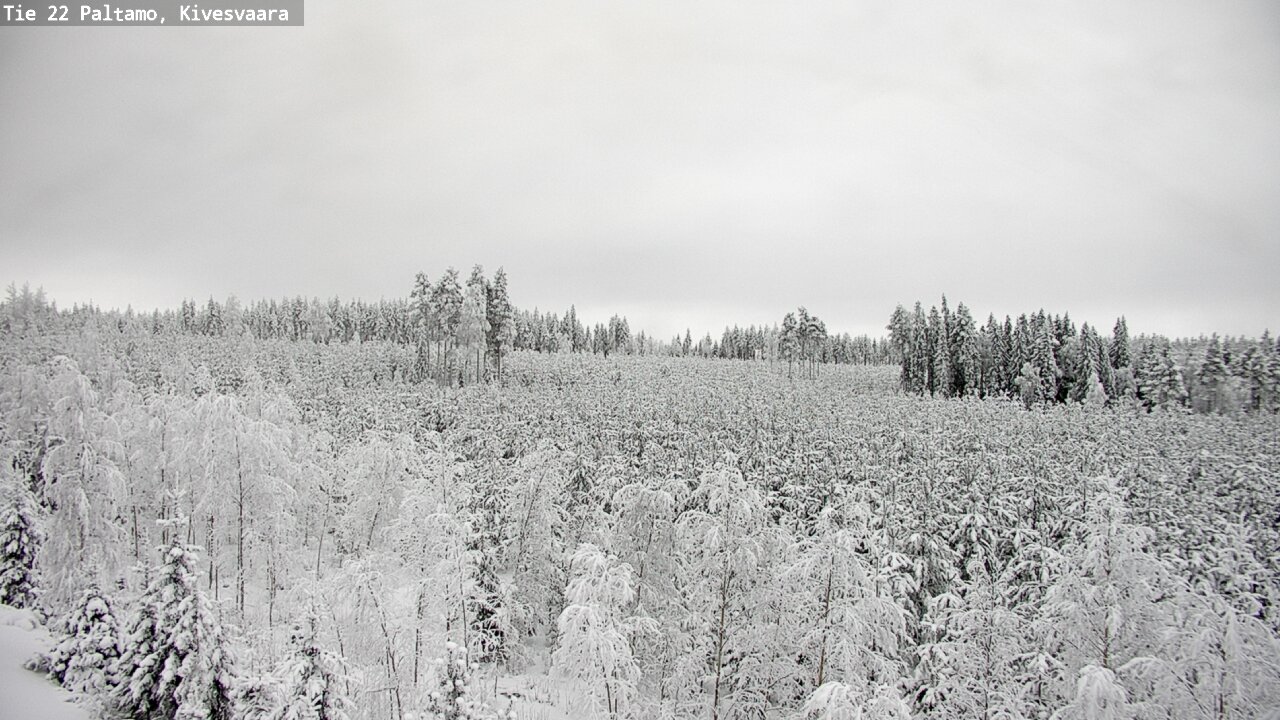 Weather Camera Image Road 22 Paltamo, Kivesvaara, Paltamo, Kainuu