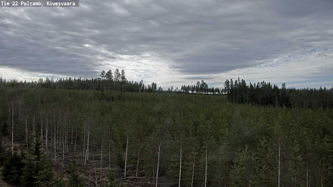 Weather Camera Image Väg 22 Paltamo, Kivesvaara, Paltamo, Kainuu