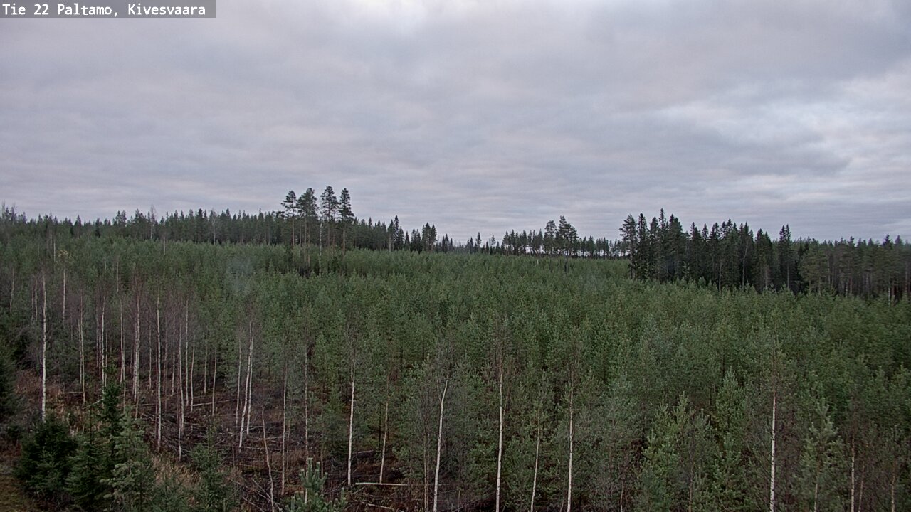 Kelikamerat Kuva Tie 22 Paltamo, Kivesvaara, Paltamo, Kainuu