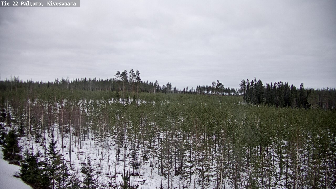 Kelikamerat Kuva Tie 22 Paltamo, Kivesvaara, Paltamo, Kainuu