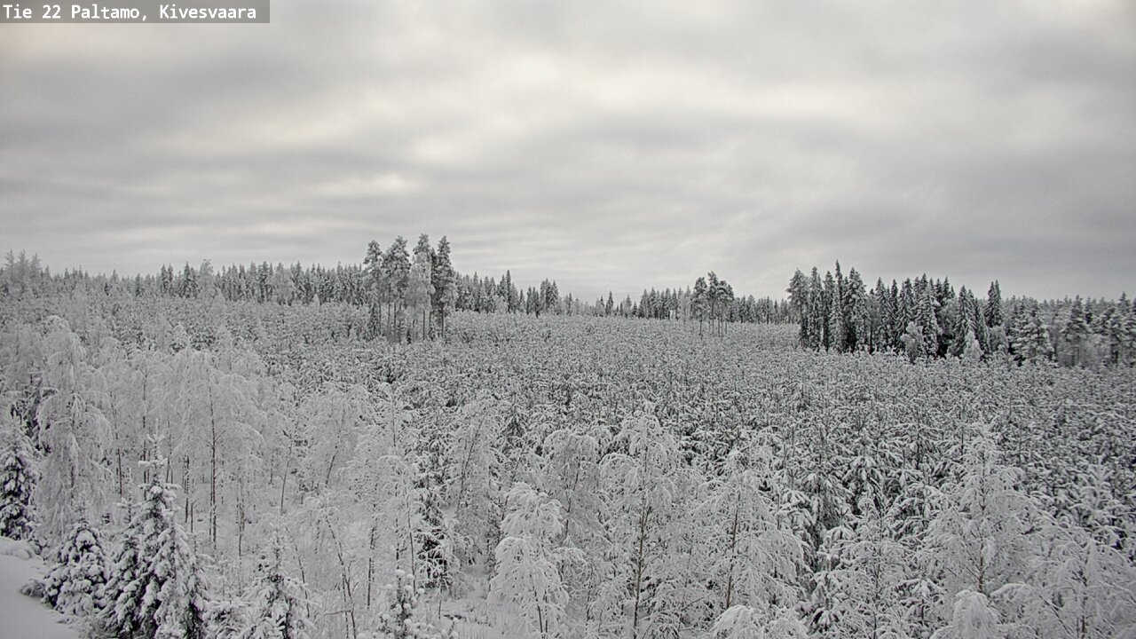 Weather Camera Image Road 22 Paltamo, Kivesvaara, Paltamo, Kainuu