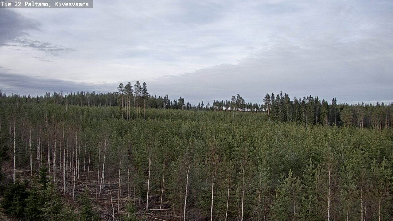 Weather Camera Image Road 22 Paltamo, Kivesvaara, Paltamo, Kainuu