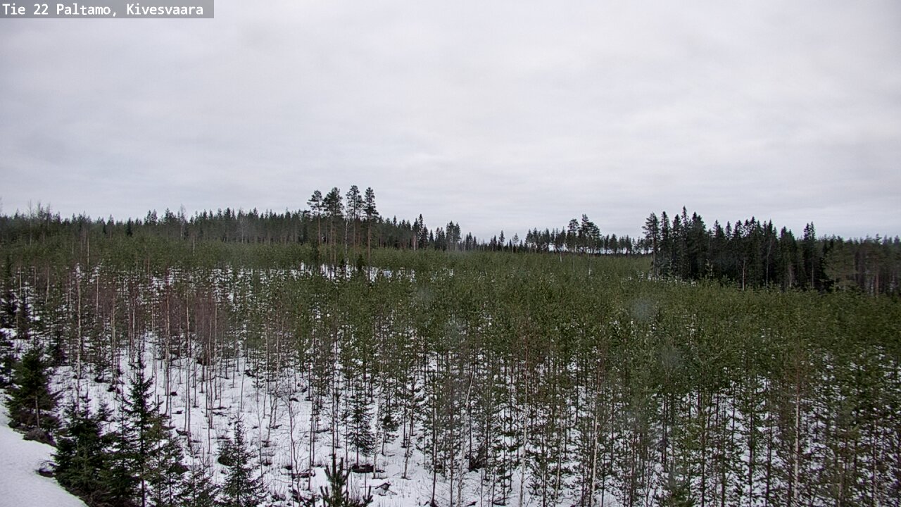 Kelikamerat Kuva Tie 22 Paltamo, Kivesvaara, Paltamo, Kainuu