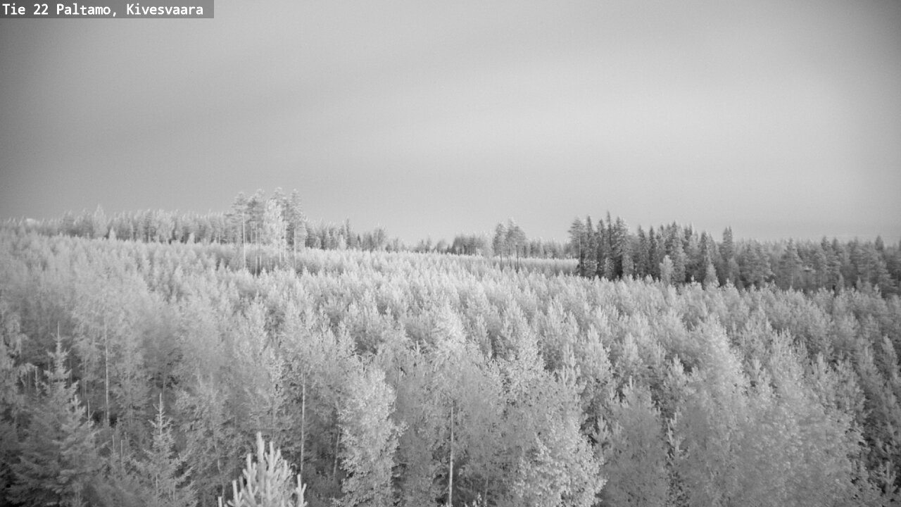 Kelikamerat Kuva Tie 22 Paltamo, Kivesvaara, Paltamo, Kainuu