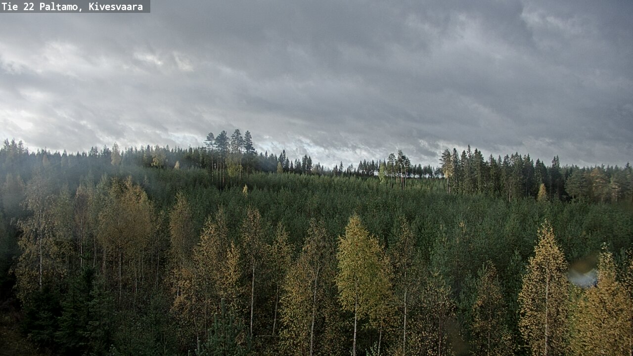 Weather Camera Image Road 22 Paltamo, Kivesvaara, Paltamo, Kainuu