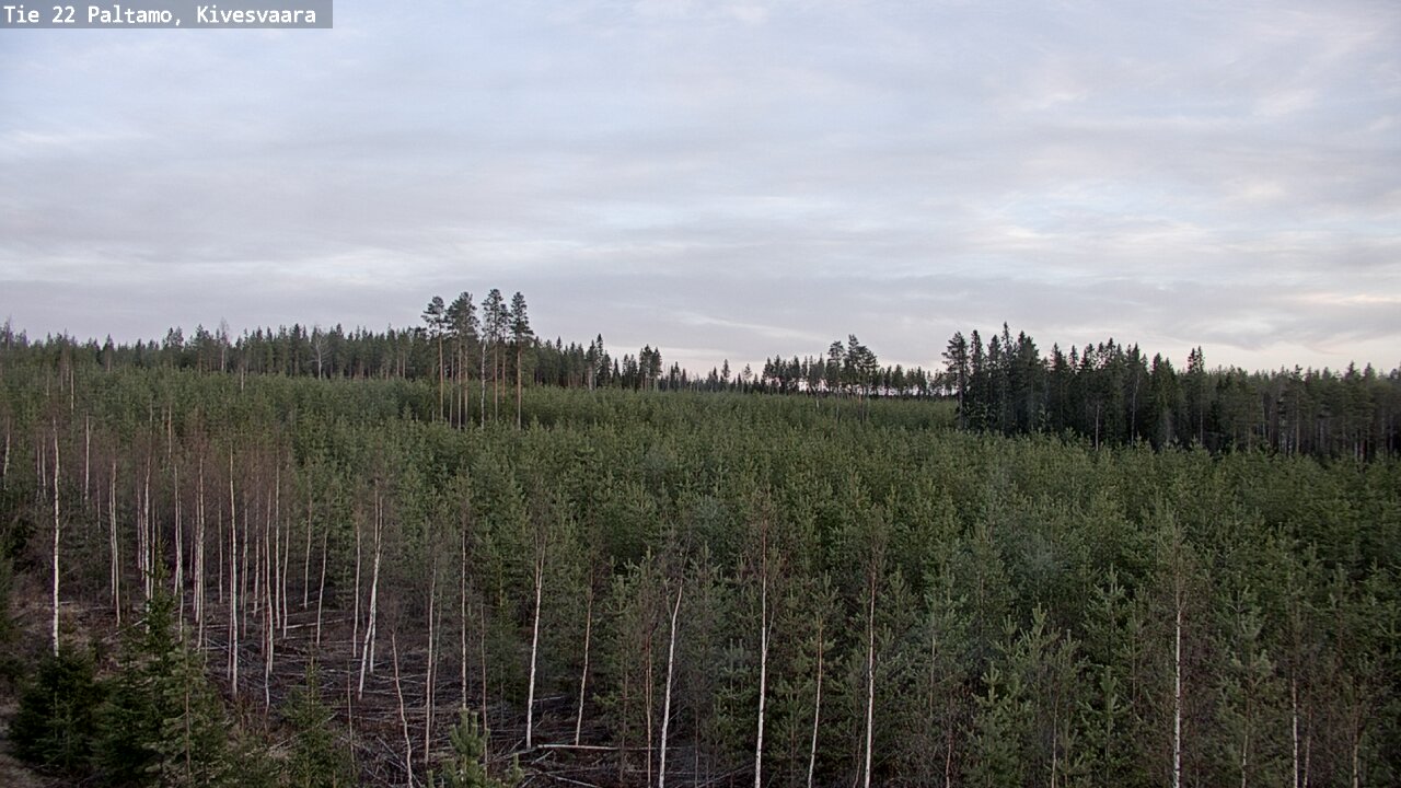 Weather Camera Image Road 22 Paltamo, Kivesvaara, Paltamo, Kainuu
