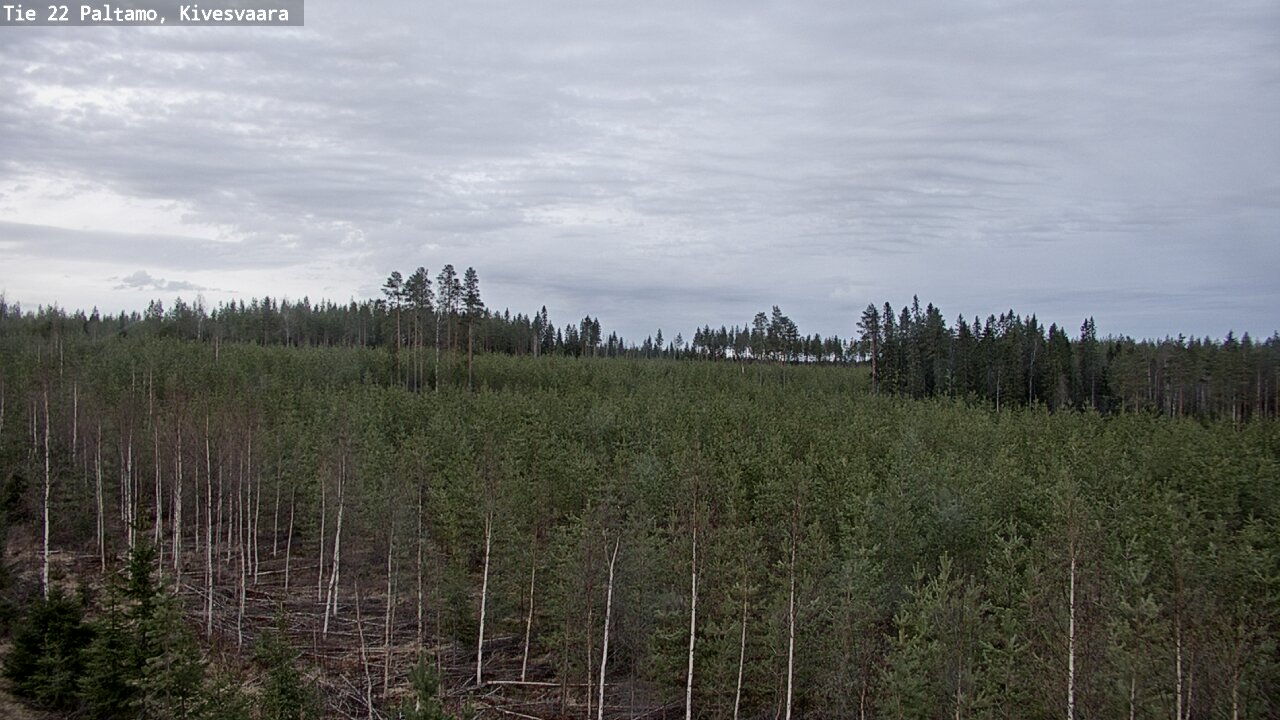 Weather Camera Image Road 22 Paltamo, Kivesvaara, Paltamo, Kainuu