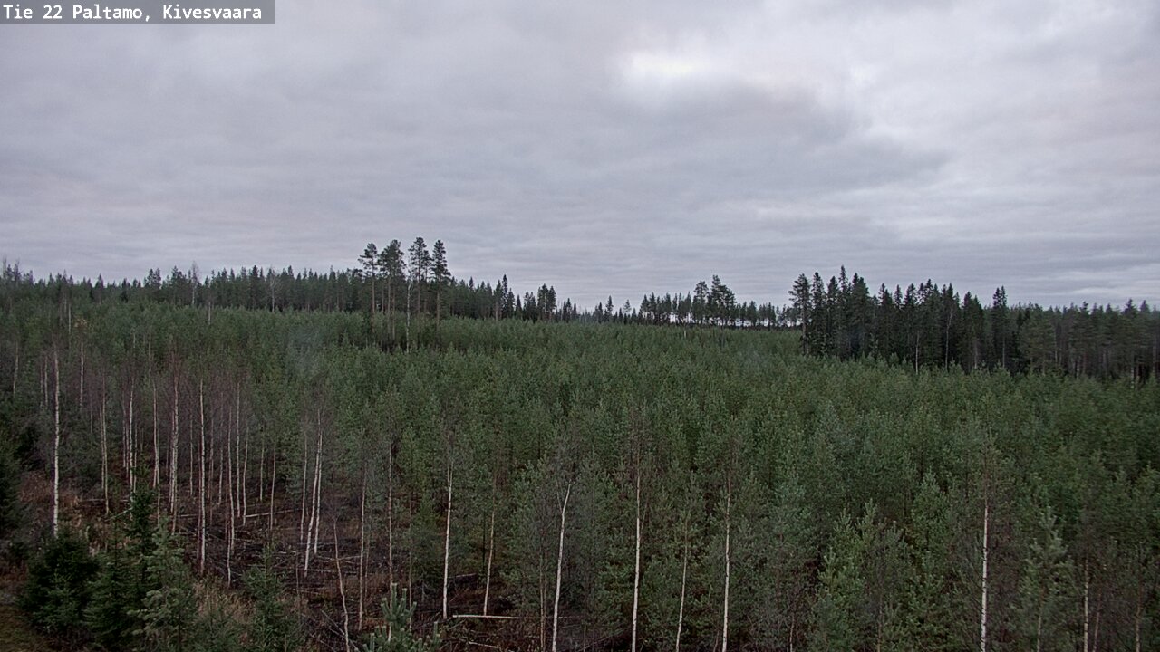 Kelikamerat Kuva Tie 22 Paltamo, Kivesvaara, Paltamo, Kainuu