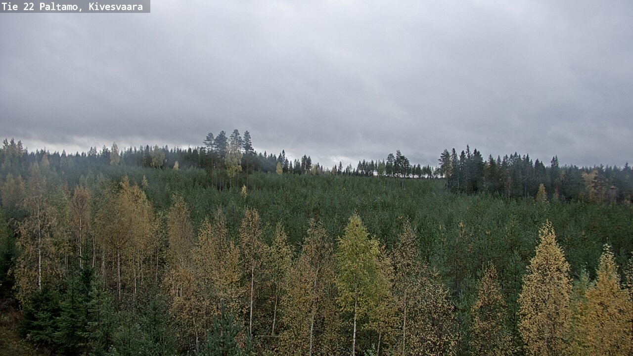 Kelikamerat Kuva Tie 22 Paltamo, Kivesvaara, Paltamo, Kainuu