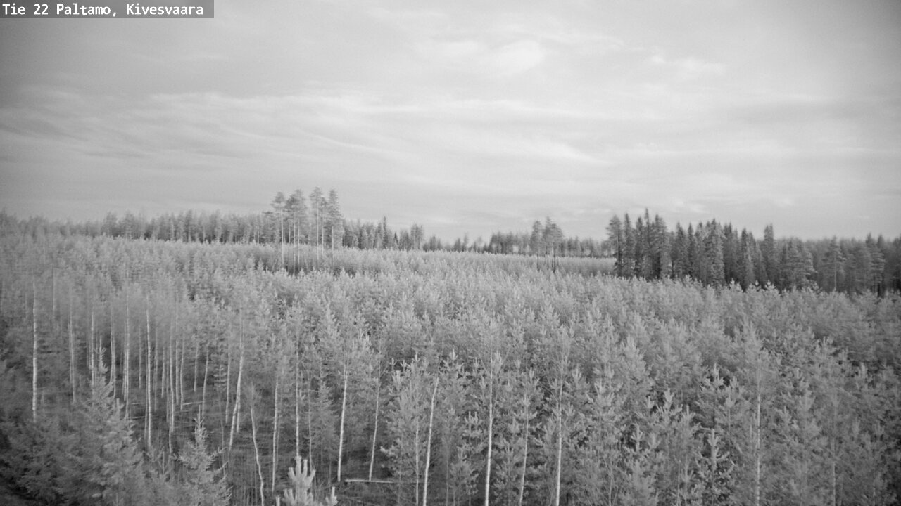 Weather Camera Image Road 22 Paltamo, Kivesvaara, Paltamo, Kainuu
