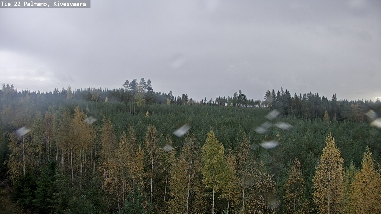 Kelikamerat Kuva Tie 22 Paltamo, Kivesvaara, Paltamo, Kainuu