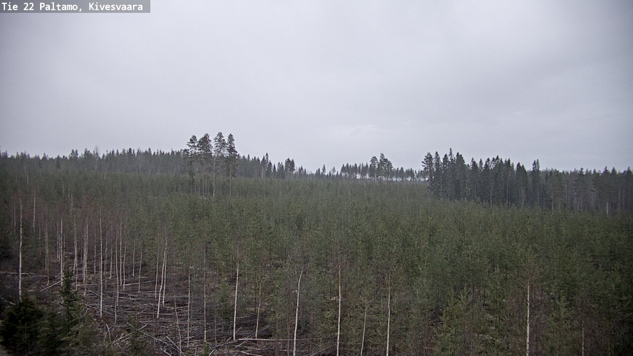Weather Camera Image Väg 22 Paltamo, Kivesvaara, Paltamo, Kainuu