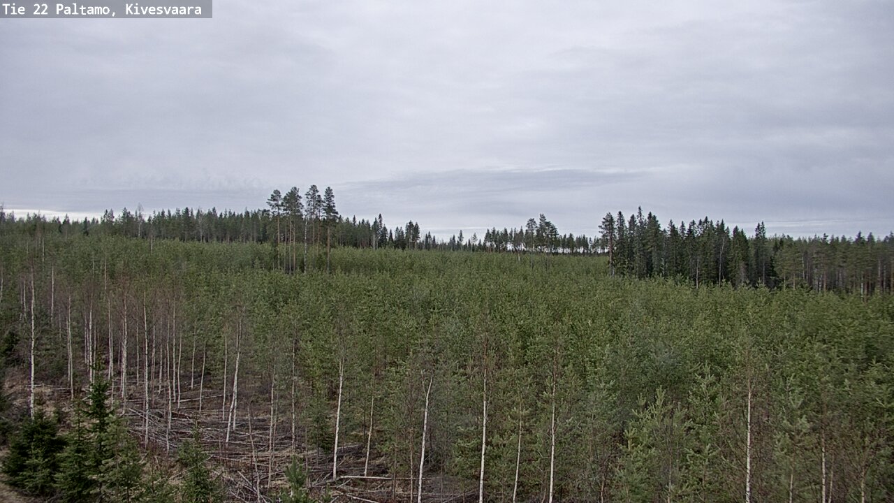 Weather Camera Image Väg 22 Paltamo, Kivesvaara, Paltamo, Kainuu