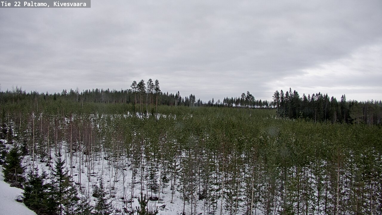 Weather Camera Image Väg 22 Paltamo, Kivesvaara, Paltamo, Kainuu