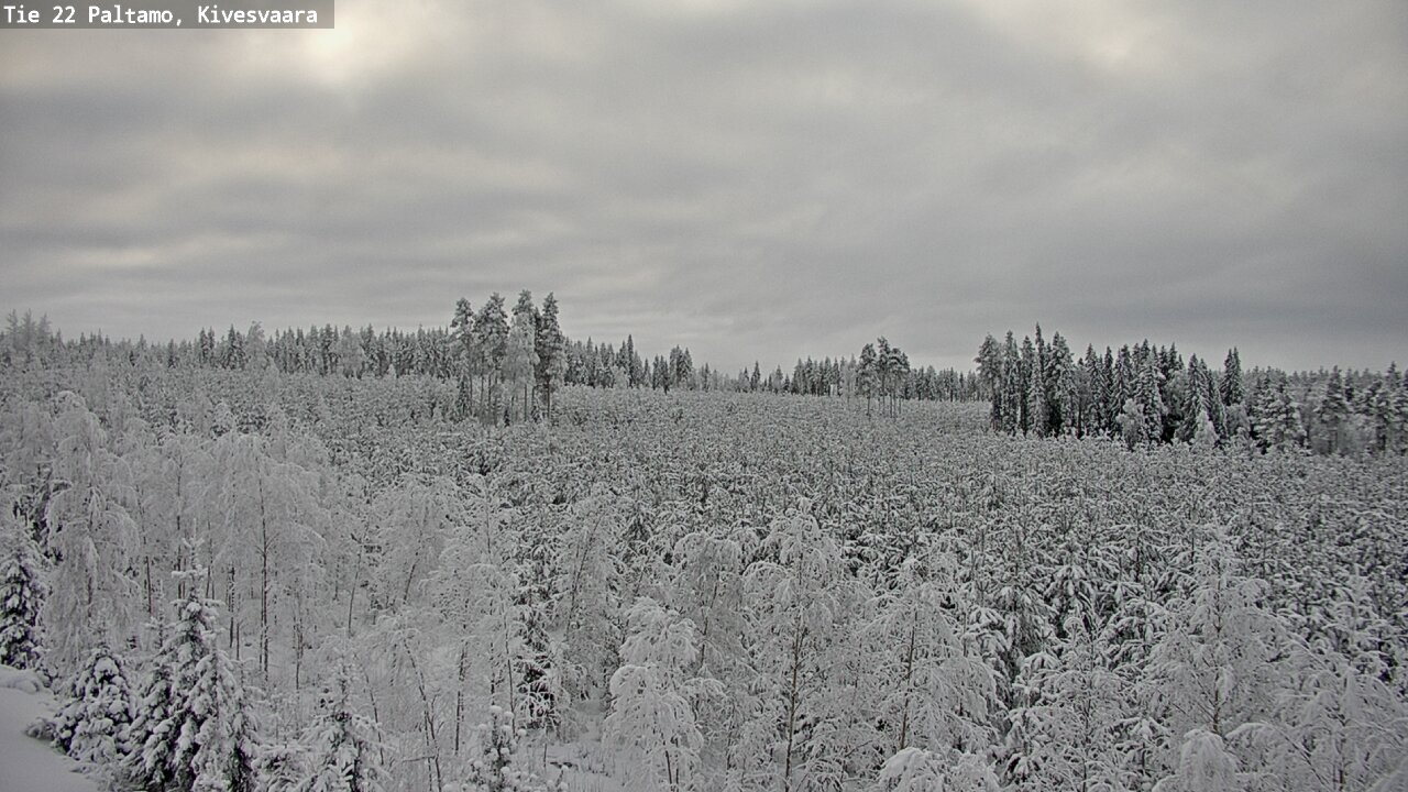 Weather Camera Image Road 22 Paltamo, Kivesvaara, Paltamo, Kainuu