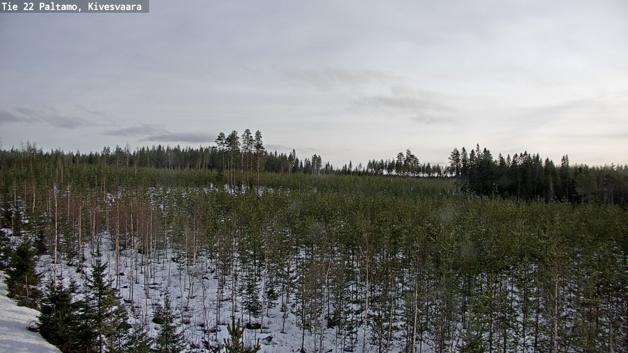 Kelikamerat Kuva Tie 22 Paltamo, Kivesvaara, Paltamo, Kainuu