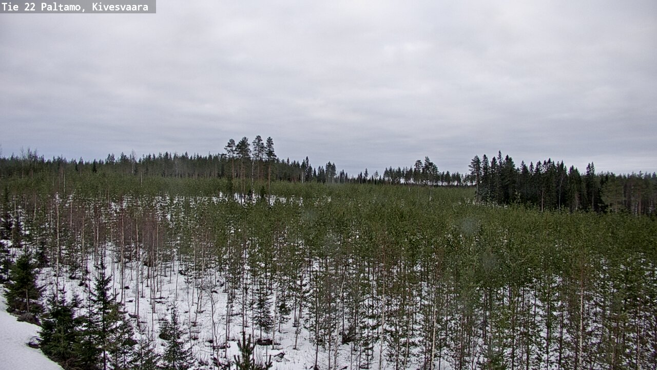 Kelikamerat Kuva Tie 22 Paltamo, Kivesvaara, Paltamo, Kainuu