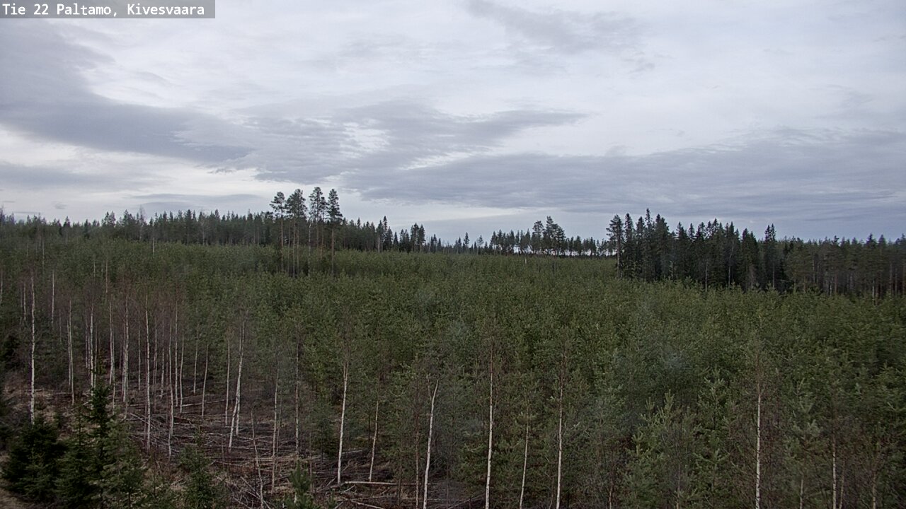 Weather Camera Image Road 22 Paltamo, Kivesvaara, Paltamo, Kainuu