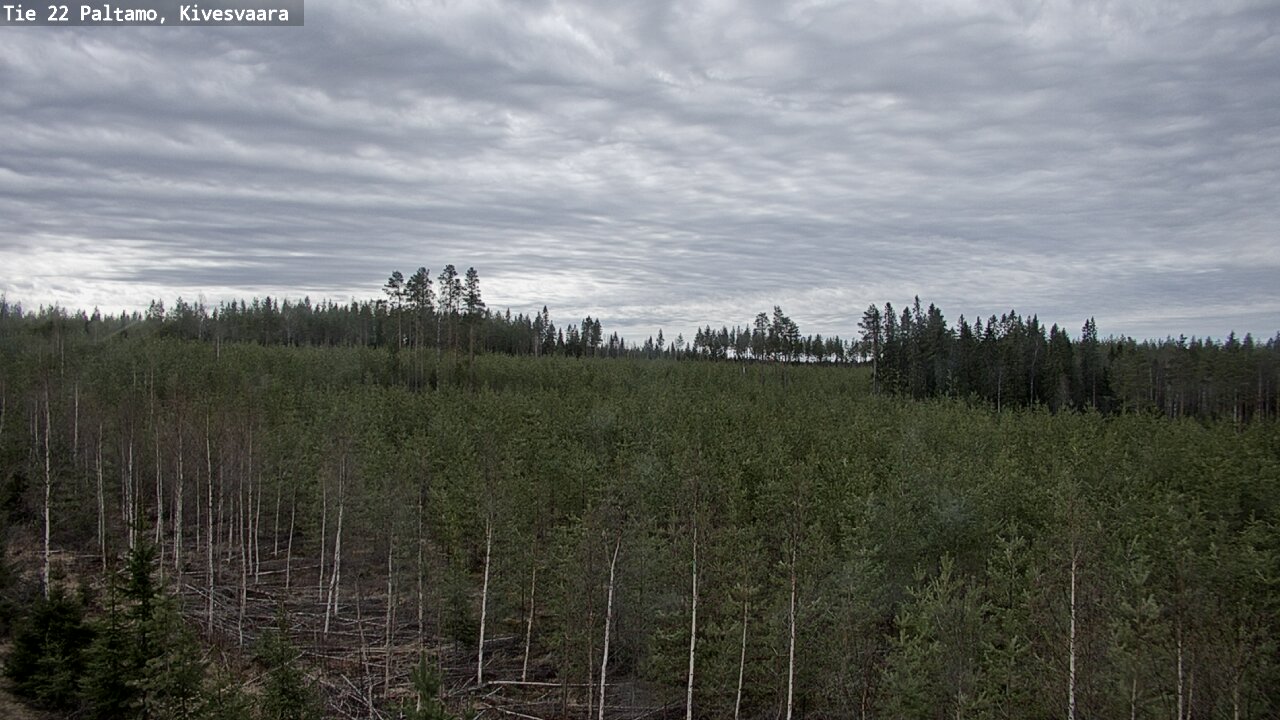 Weather Camera Image Väg 22 Paltamo, Kivesvaara, Paltamo, Kainuu