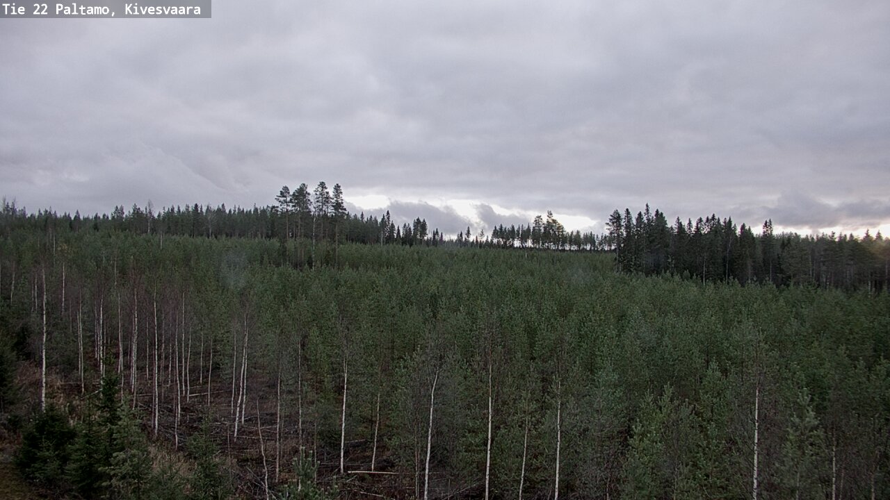 Kelikamerat Kuva Tie 22 Paltamo, Kivesvaara, Paltamo, Kainuu