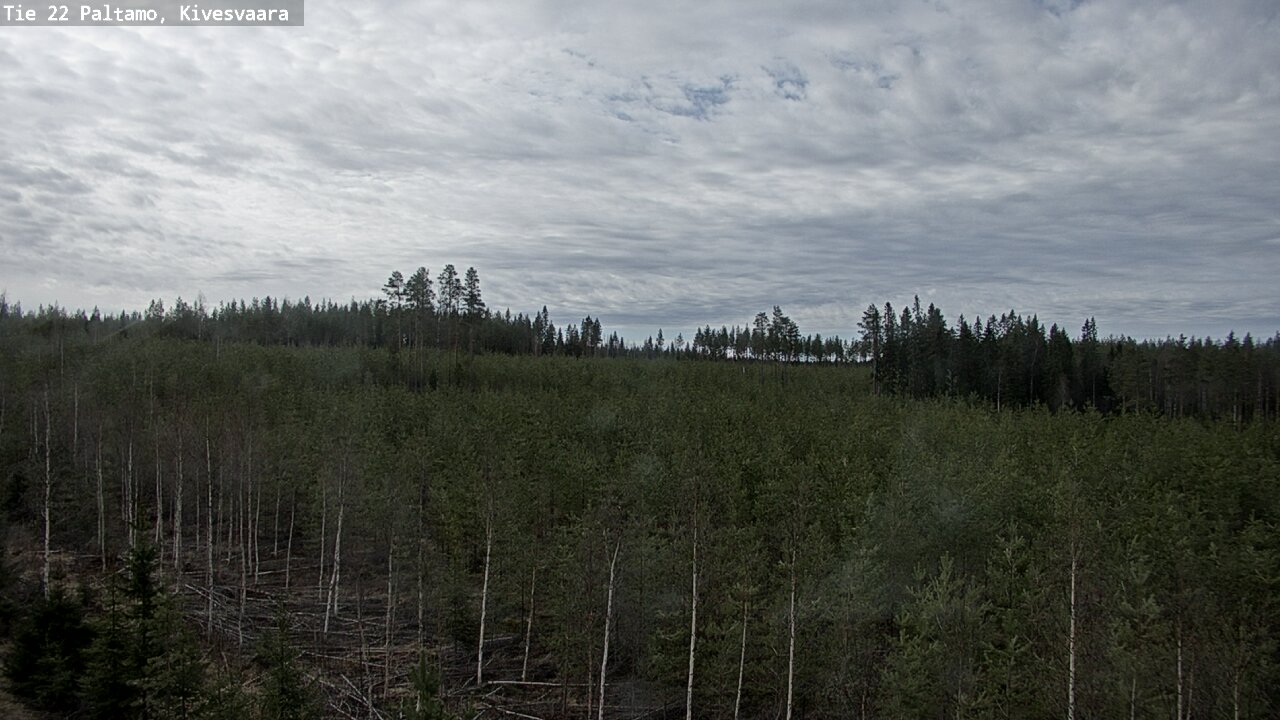 Weather Camera Image Väg 22 Paltamo, Kivesvaara, Paltamo, Kainuu