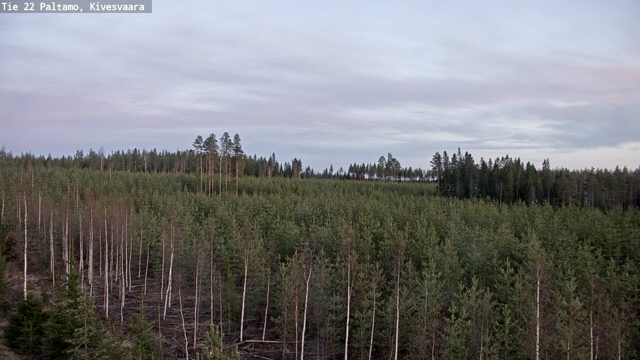 Weather Camera Image Road 22 Paltamo, Kivesvaara, Paltamo, Kainuu
