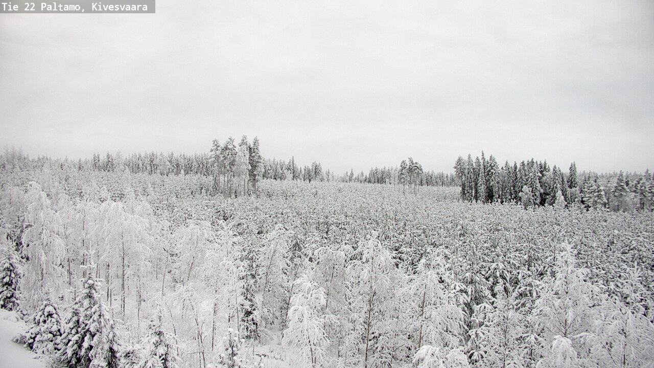 Kelikamerat Kuva Tie 22 Paltamo, Kivesvaara, Paltamo, Kainuu