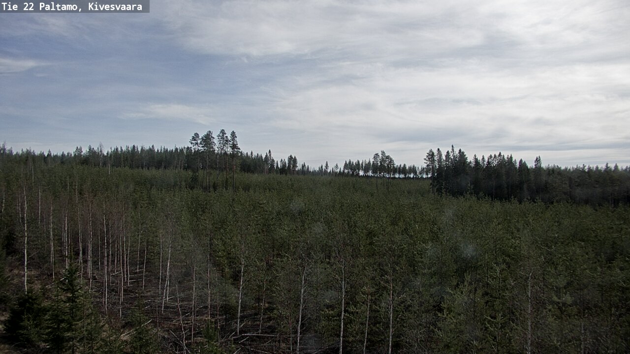 Weather Camera Image Road 22 Paltamo, Kivesvaara, Paltamo, Kainuu