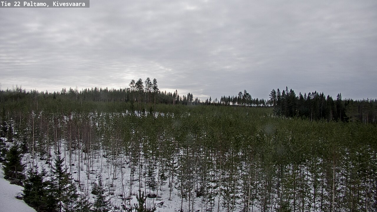 Weather Camera Image Road 22 Paltamo, Kivesvaara, Paltamo, Kainuu