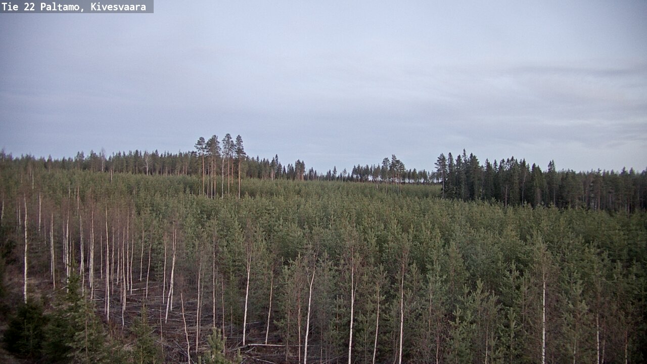 Weather Camera Image Road 22 Paltamo, Kivesvaara, Paltamo, Kainuu