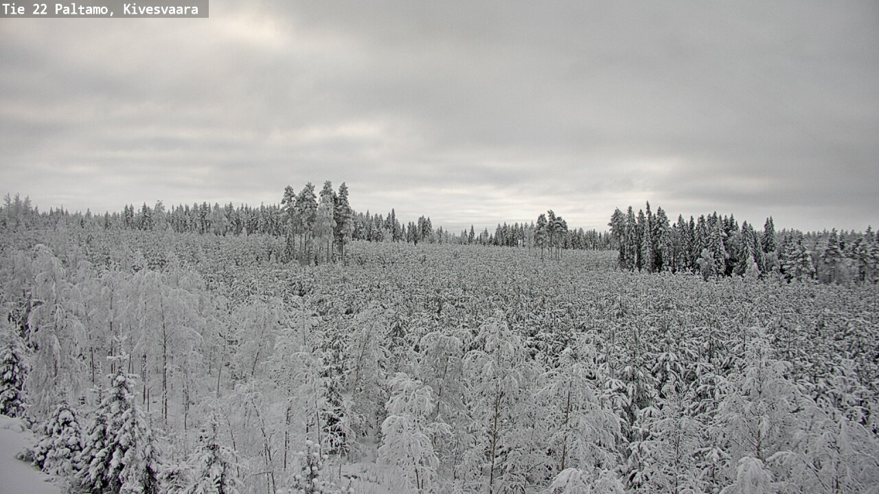 Kelikamerat Kuva Tie 22 Paltamo, Kivesvaara, Paltamo, Kainuu