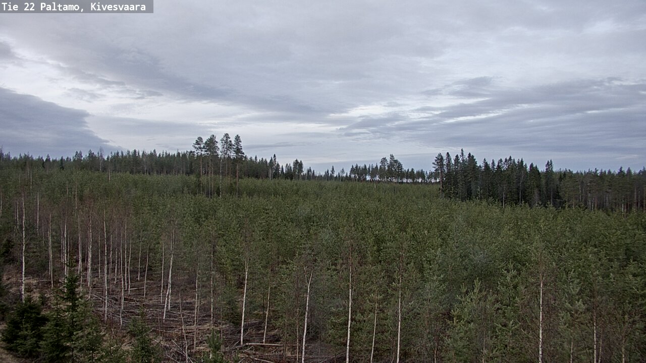 Weather Camera Image Road 22 Paltamo, Kivesvaara, Paltamo, Kainuu