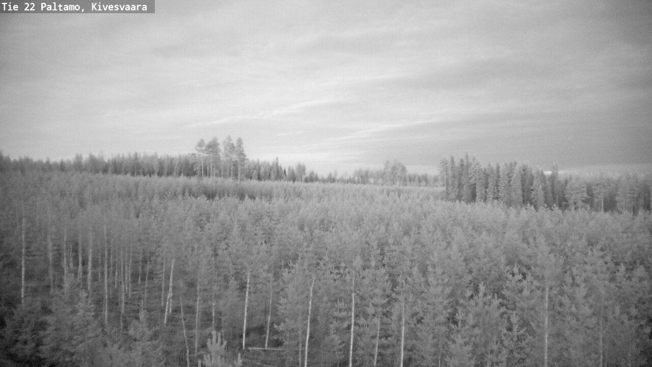 Weather Camera Image Road 22 Paltamo, Kivesvaara, Paltamo, Kainuu