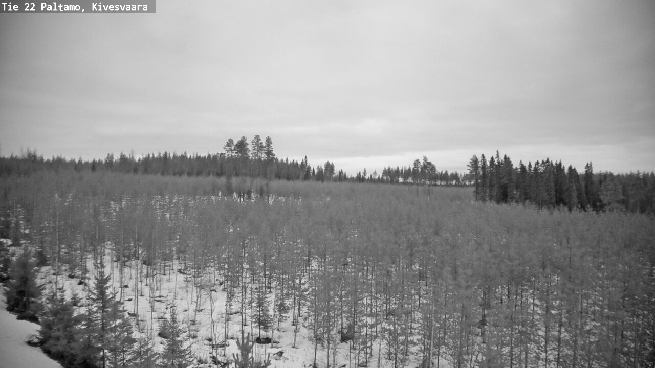 Kelikamerat Kuva Tie 22 Paltamo, Kivesvaara, Paltamo, Kainuu