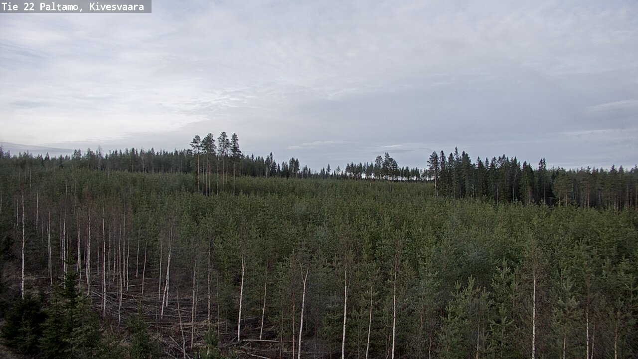 Weather Camera Image Road 22 Paltamo, Kivesvaara, Paltamo, Kainuu